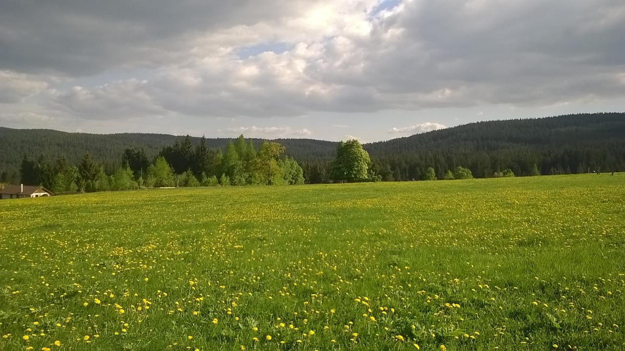 Apartment-Chalet-Chaloupka U Trnku 金日瓦特矿泉镇 外观 照片